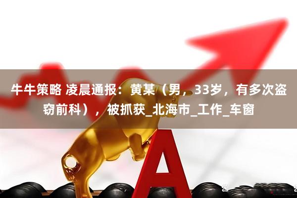 牛牛策略 凌晨通报：黄某（男，33岁，有多次盗窃前科），被抓获_北海市_工作_车窗