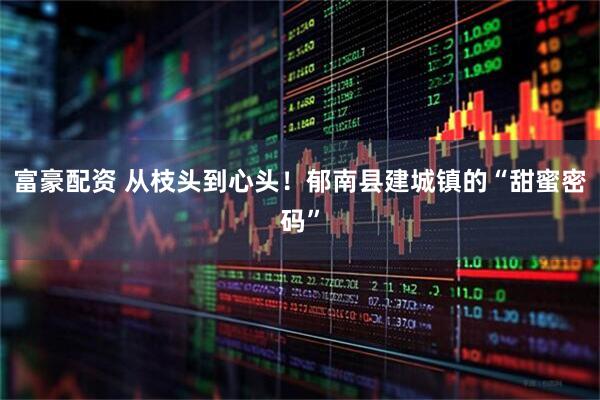富豪配资 从枝头到心头！郁南县建城镇的“甜蜜密码”