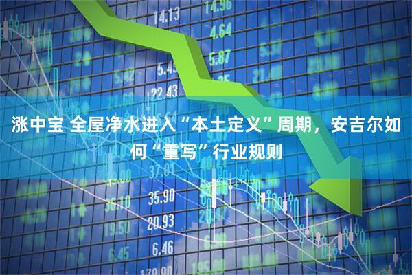 涨中宝 全屋净水进入“本土定义”周期，安吉尔如何“重写”行业规则