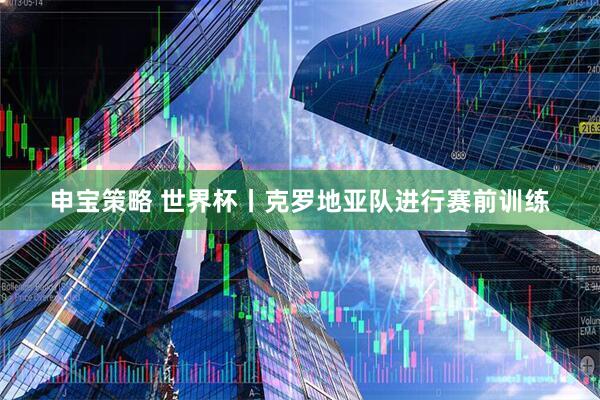 申宝策略 世界杯丨克罗地亚队进行赛前训练
