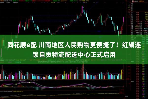同花顺e配 川南地区人民购物更便捷了！红旗连锁自贡物流配送中心正式启用