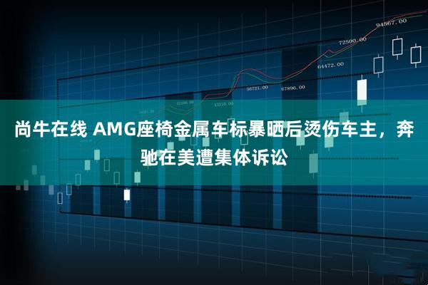 尚牛在线 AMG座椅金属车标暴晒后烫伤车主，奔驰在美遭集体诉讼