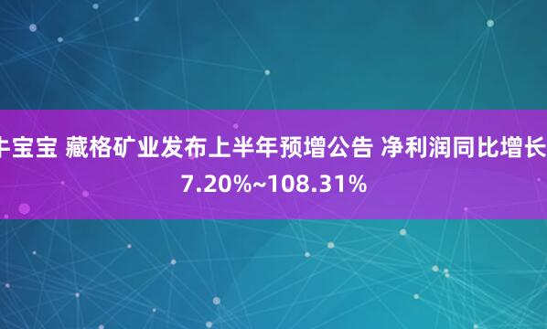 牛宝宝 藏格矿业发布上半年预增公告 净利润同比增长97.20%~108.31%